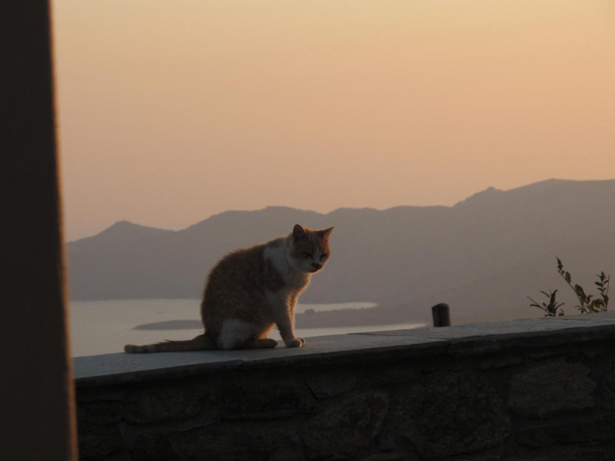 Balkonikarystos Daire Dış mekan fotoğraf