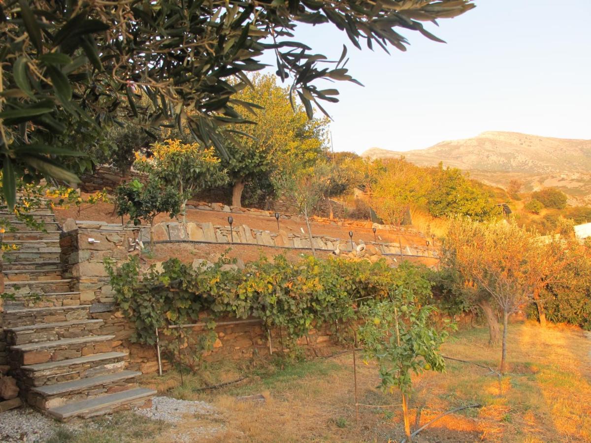 Balkonikarystos Daire Dış mekan fotoğraf